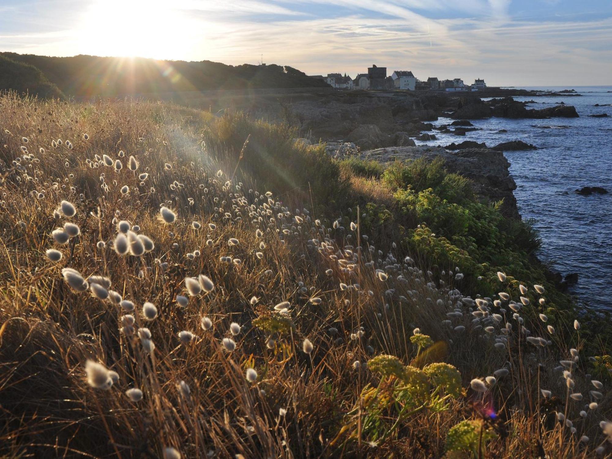 Appartements En Bord De Mer Avec Wifi Et Animal Accepte A Piriac-Sur-Mer - Fr-1-306-943 エクステリア 写真